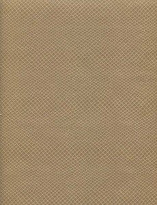 31-0005-Camel