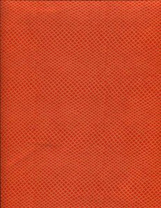 31-0047-Tangerine